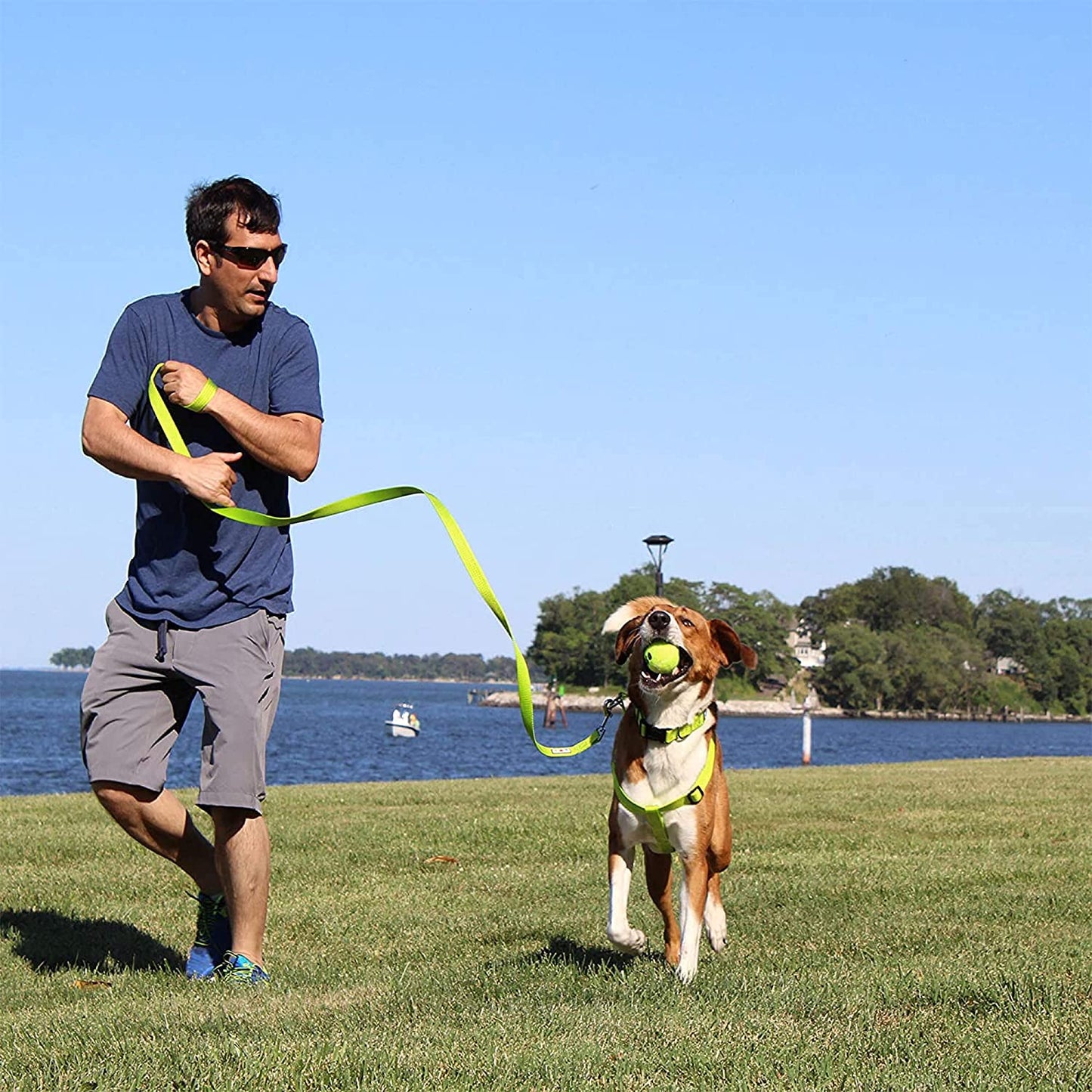 6 FT Solid Color Leash Puppy Leash Dog Leash Comfortable Handle Dog Training Leash 6 Ft Dog Leash Medium Dog Leash/Large Dog Leash Green Dog Leash
