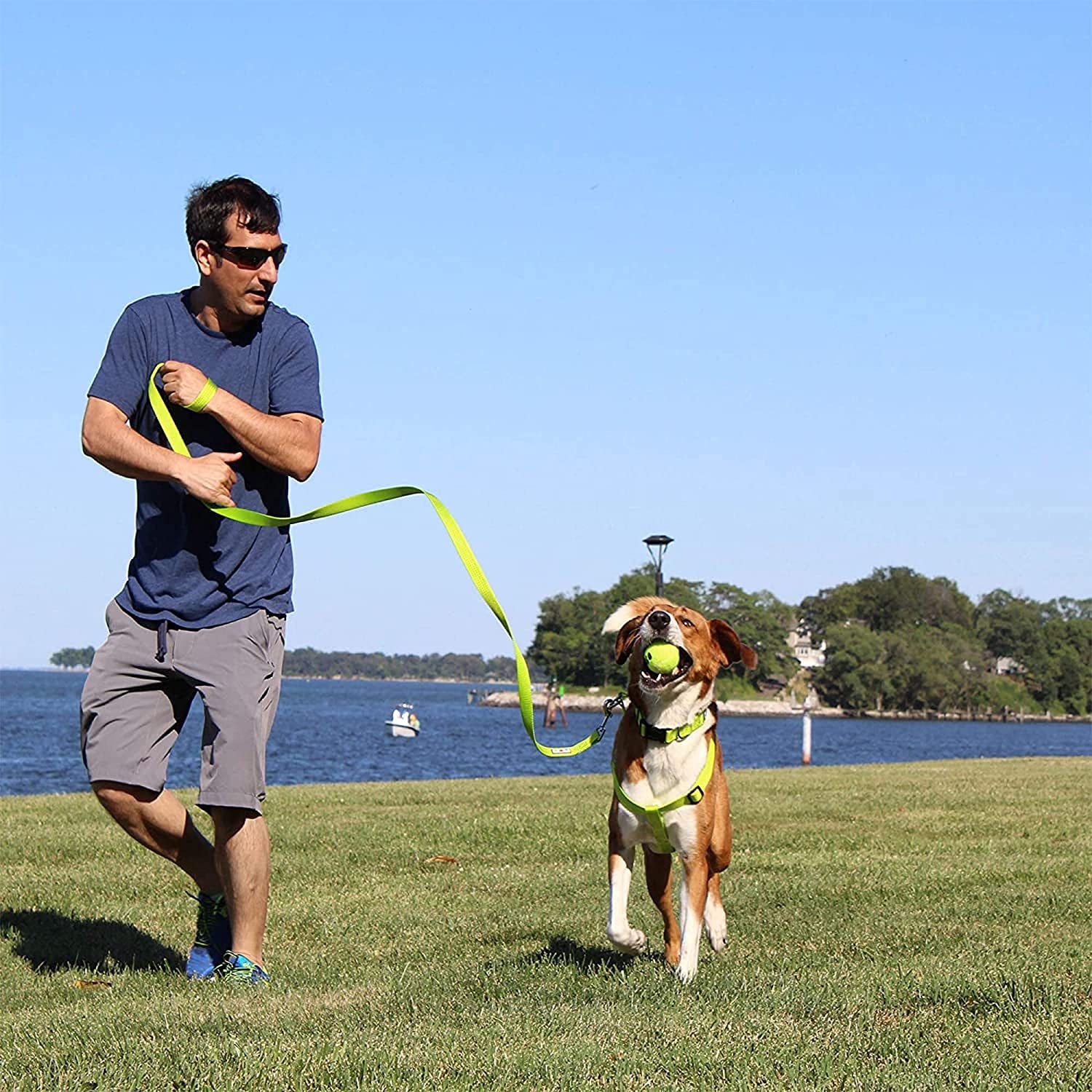6 FT Solid Color Leash Puppy Leash Dog Leash Comfortable Handle Dog Training Leash 6 Ft Dog Leash Medium Dog Leash/Large Dog Leash Green Dog Leash